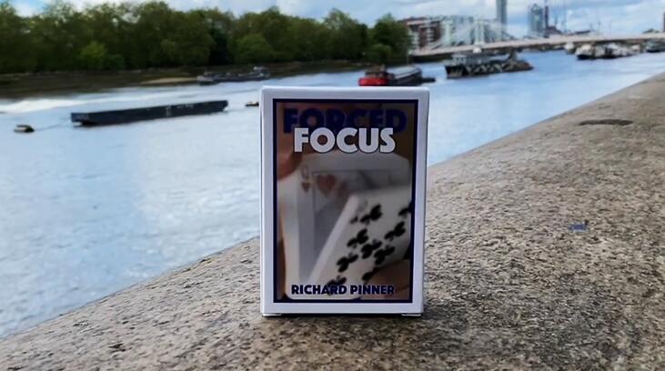 Richard Pinner - FORCED FOCUS BLUE